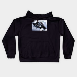 polydactyl cat Kids Hoodie